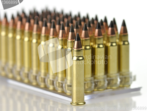 Image of hunting bullets