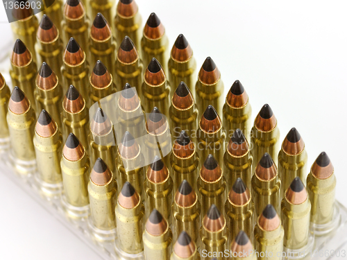 Image of hunting bullets