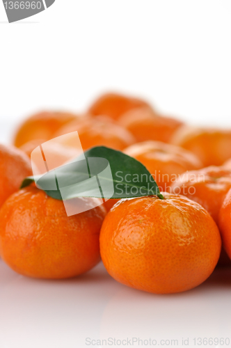 Image of mandarin fruits