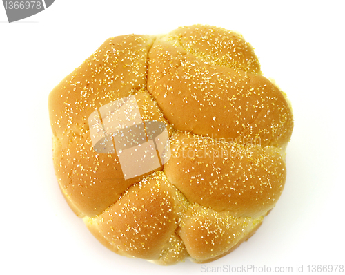 Image of Hamburger bun, top view