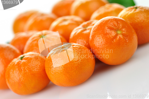 Image of mandarin fruits