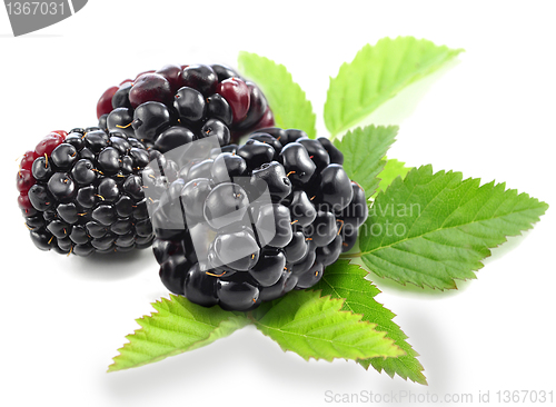 Image of blackberries