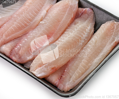 Image of tilapia fillet