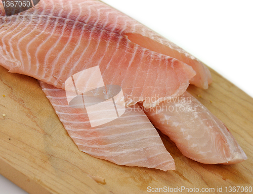 Image of tilapia fillet