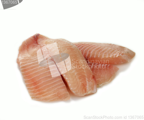 Image of tilapia fillet