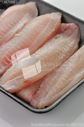 Image of tilapia fillet