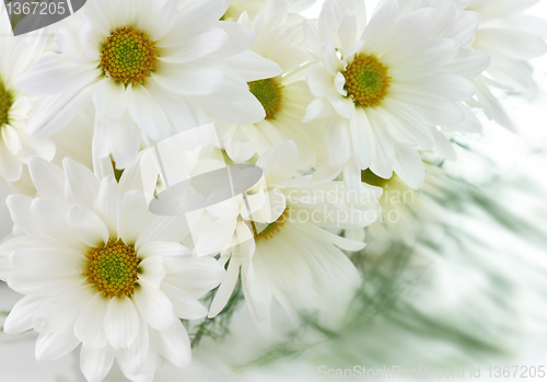 Image of floral background