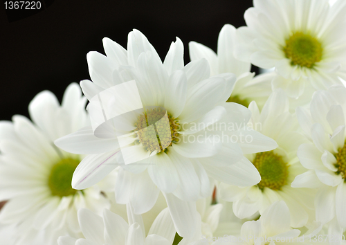 Image of floral background