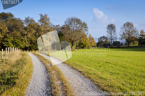 Image of autumn scenery