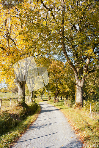 Image of autumn scenery