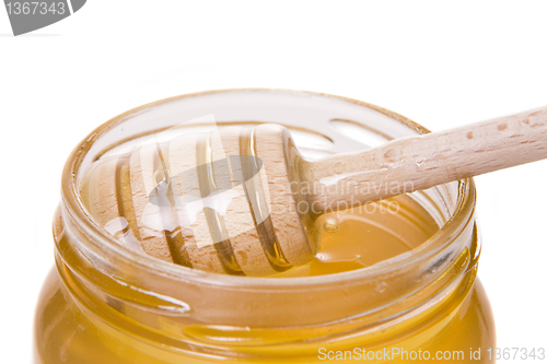 Image of Honey