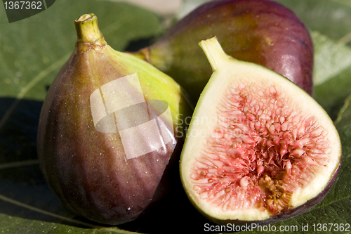 Image of Figs