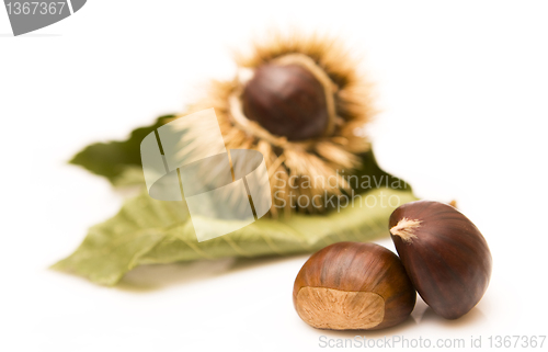 Image of Chestnuts