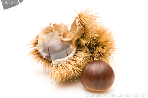 Image of Chestnuts