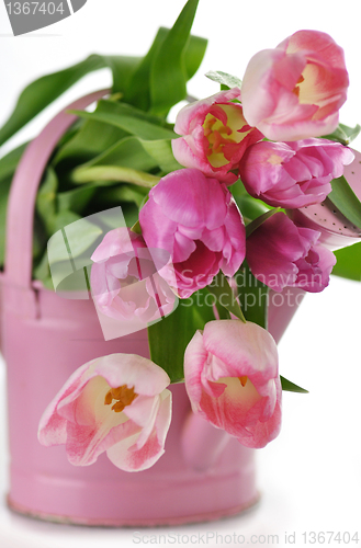 Image of tulips