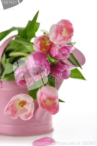 Image of tulips
