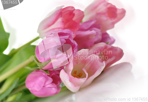 Image of tulips