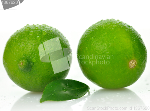 Image of fresh lime