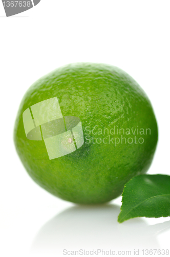 Image of fresh lime