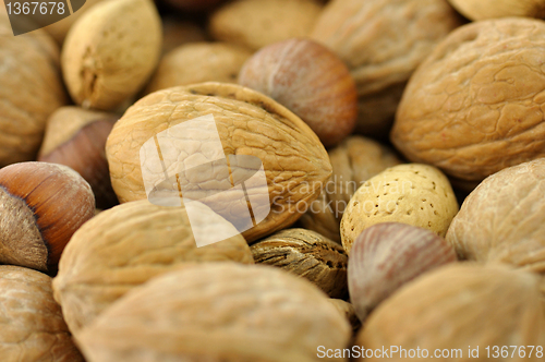 Image of Mixed nuts background 