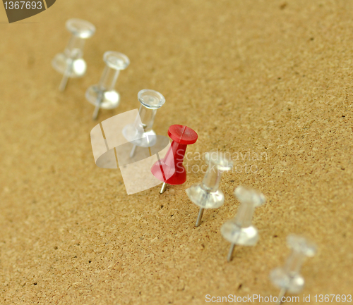 Image of plastic thumbtack on cork board