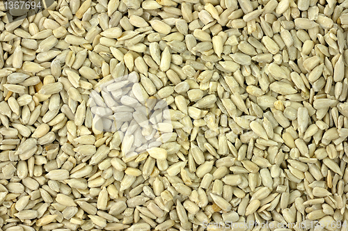 Image of sunflower seeds background 
