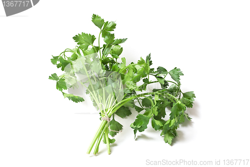 Image of  parsley 