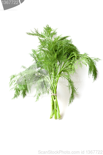 Image of   dill 