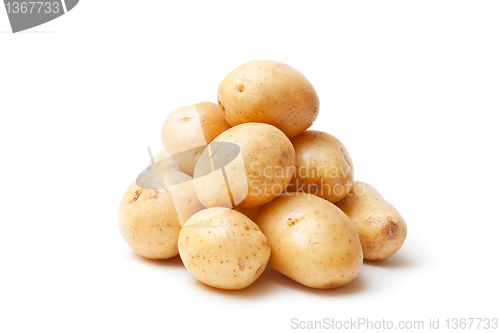 Image of  potato