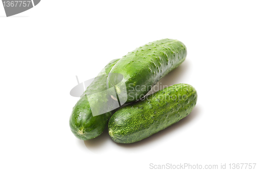 Image of  cucumber