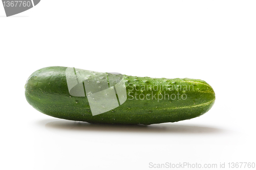 Image of  cucumber