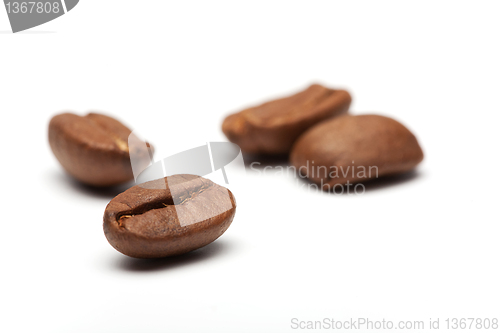 Image of  coffee beans 