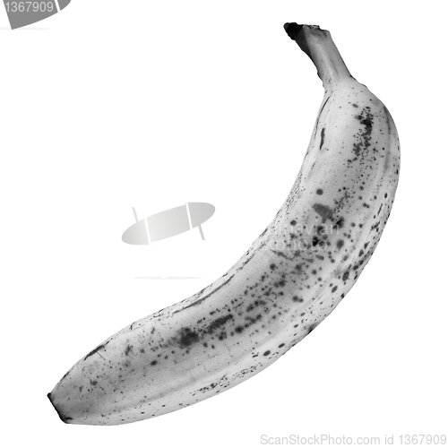 Image of Banana isolated