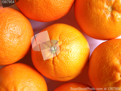 Image of Oranges picture