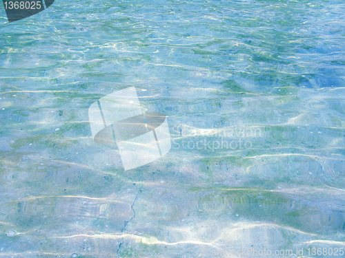 Image of Water picture
