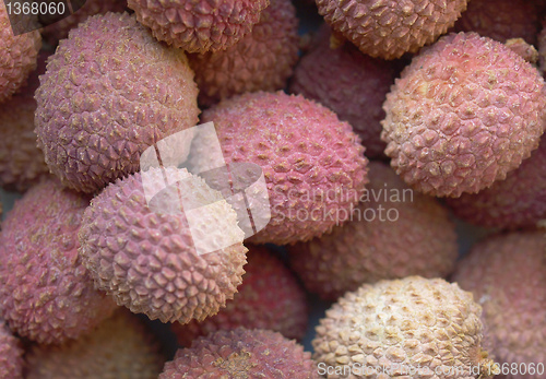 Image of Lychee