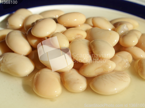 Image of Beans salad