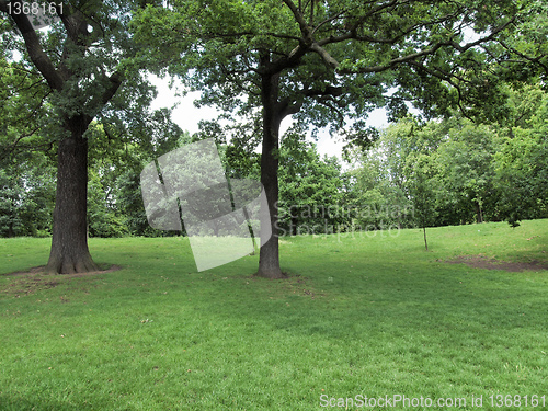 Image of Kensington gardens London