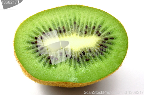 Image of kiwi fruit isolated on white background