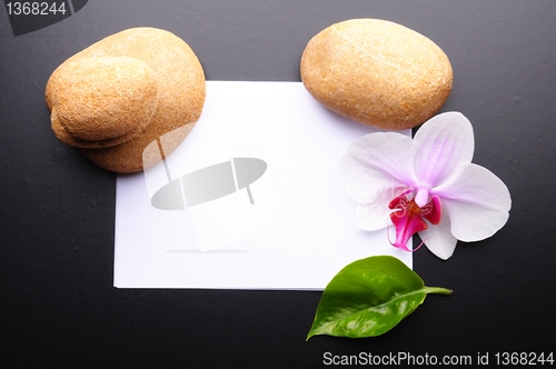 Image of zen or spa