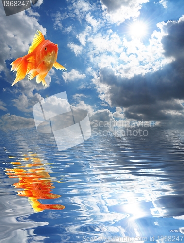 Image of blue sky and goldfish