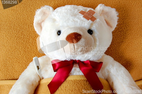 Image of sick teddy