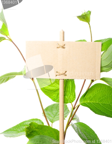 Image of blank sign