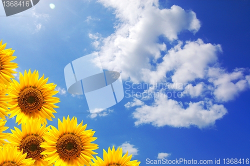 Image of summer sun and copyspace