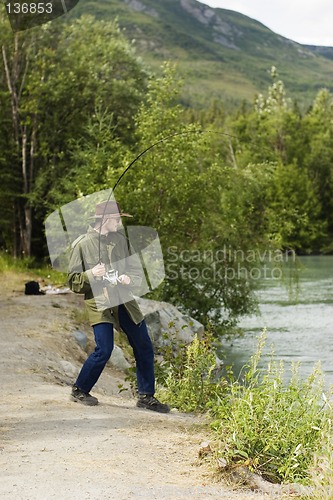 Image of Fighting king salmon