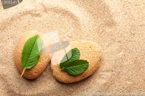 Image of zen stone and leaf