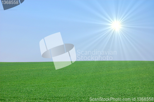 Image of green landscape