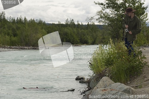 Image of Fish near the shore