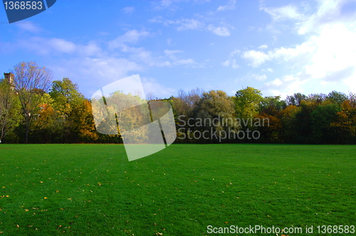 Image of autumnal forest un der blue sky