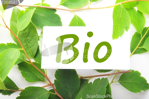 Image of bio